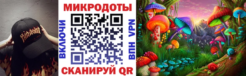 Псилоцибиновые грибы прущие грибы  Лермонтов 